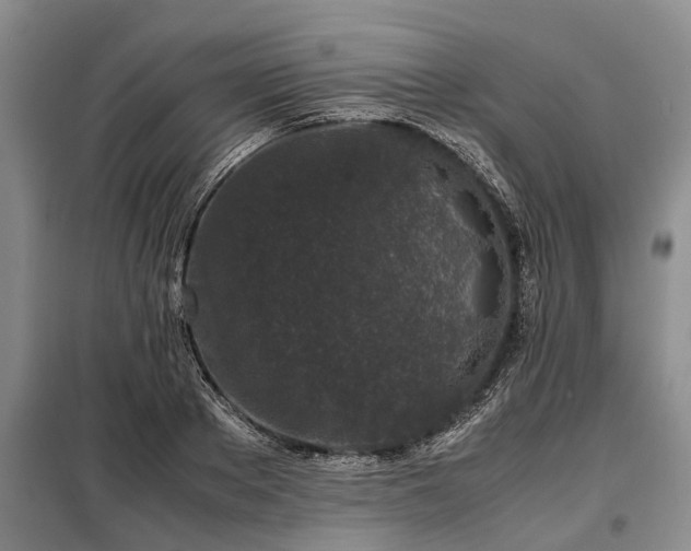 X0000099290889200805090928