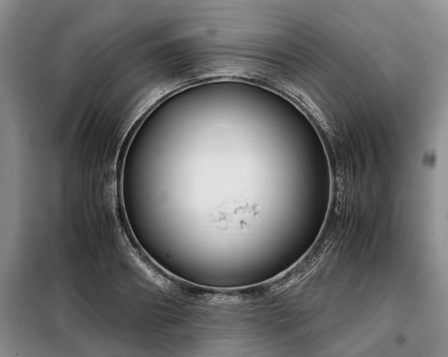 X0000099290890200805090928