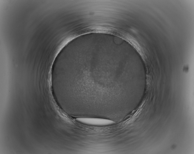 X0000099290891200805090928