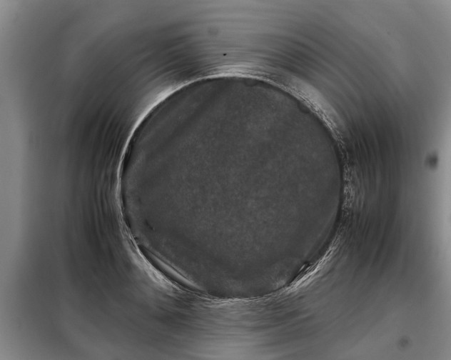 X0000099290892200805090928