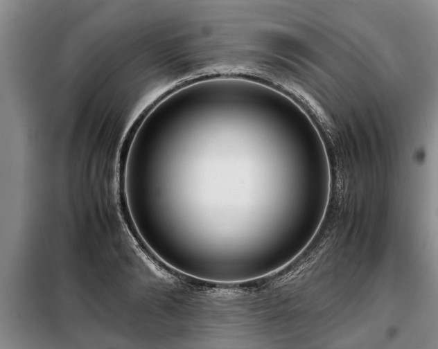 X0000099290894200805090928