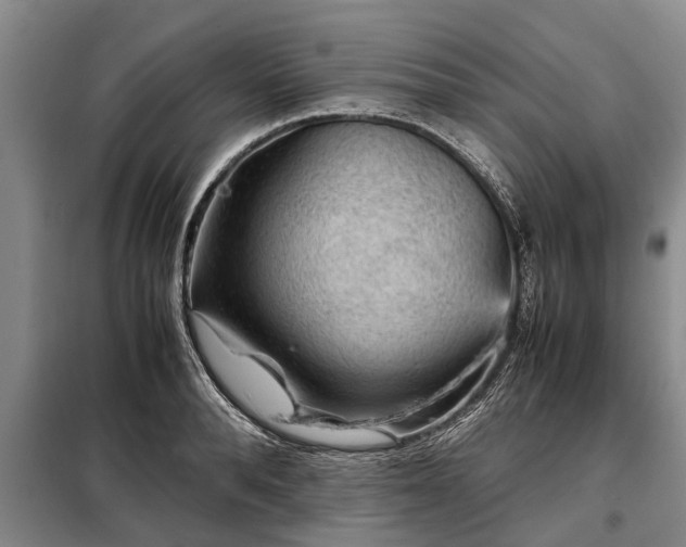 X0000099290896200805090928