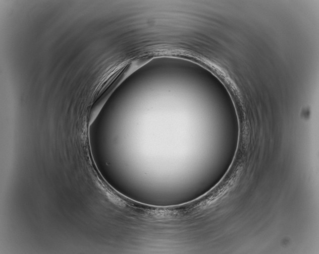 X0000099290897200805090928