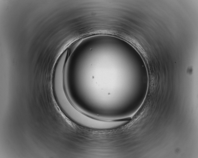 X0000099290898200805090928