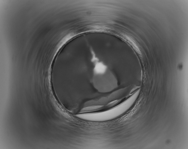 X0000099290899200805090927
