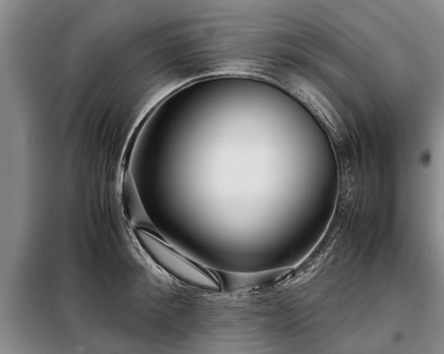 X0000099290900200805090927