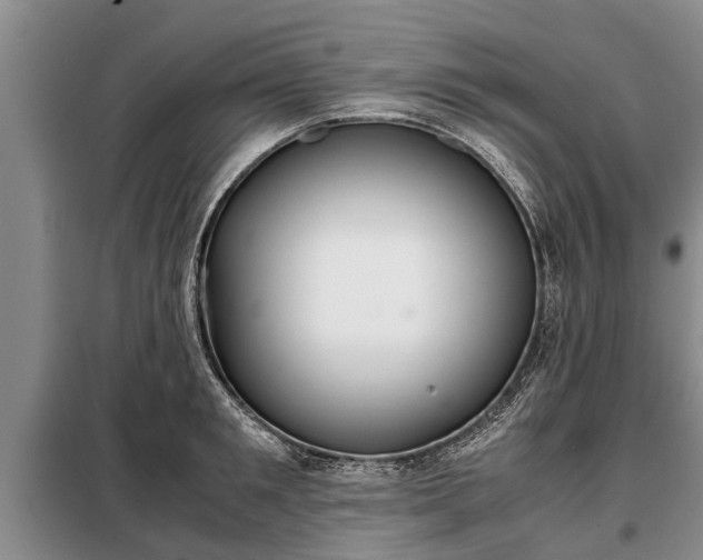 X0000099290901200805090927