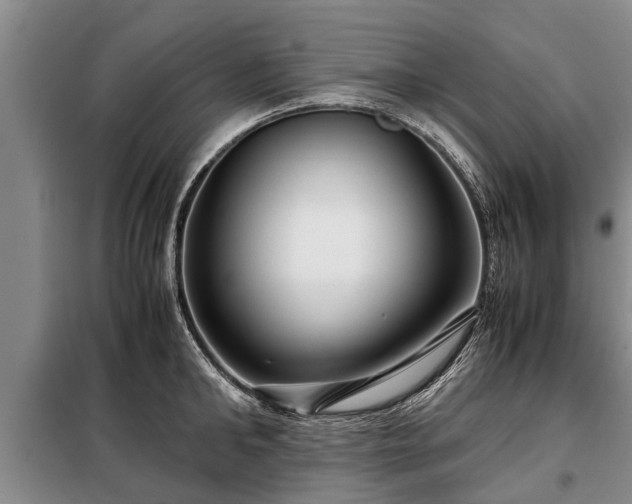 X0000099290902200805090927