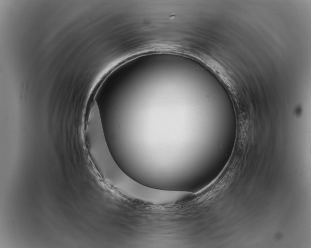 X0000099290904200805090927