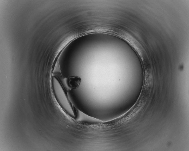 X0000099290906200805090927