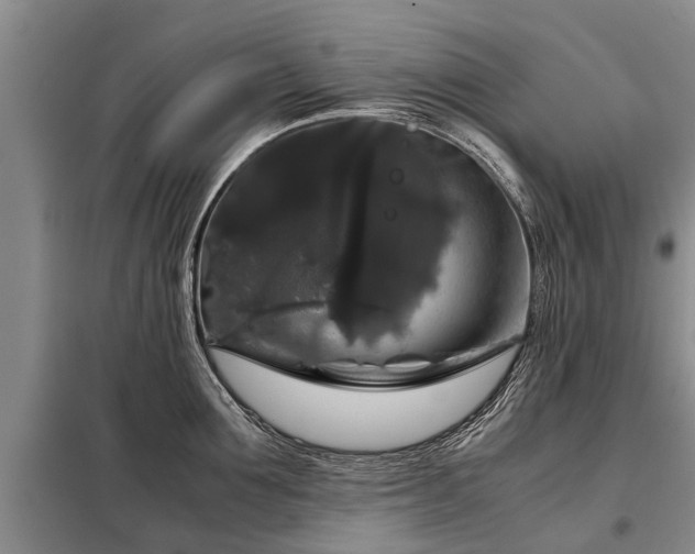 X0000099290907200805090927