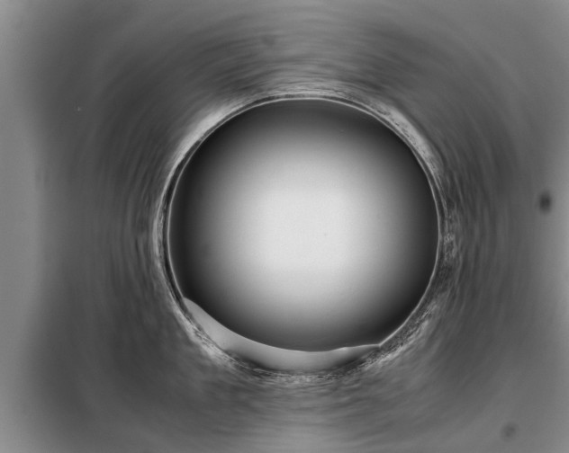 X0000099290909200805090927