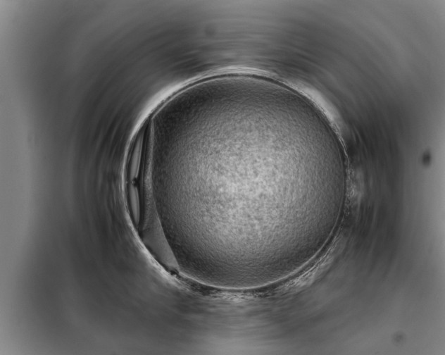 X0000099290910200805090927