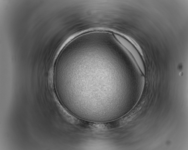 X0000099290911200805090927