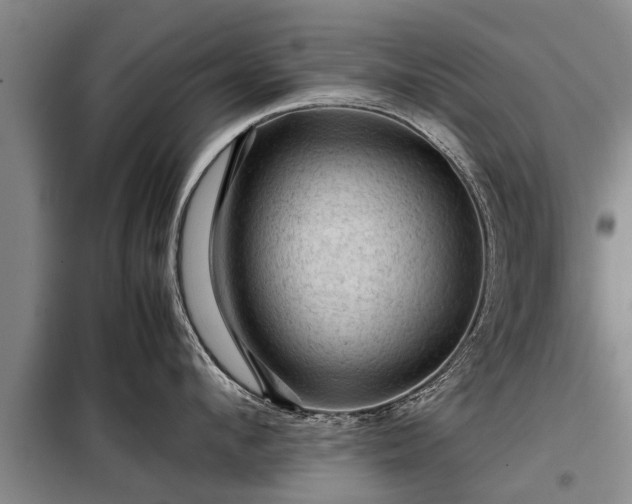 X0000099290912200805090927