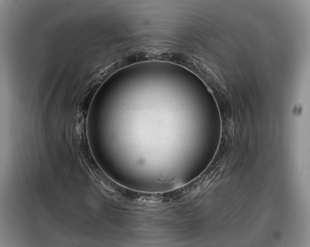 X0000099290914200805090926