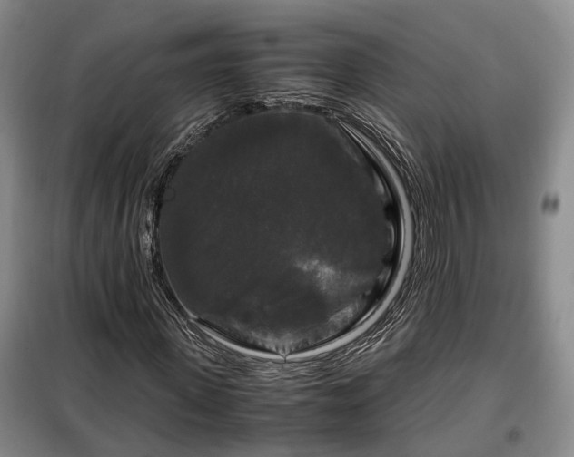 X0000099290915200805090926