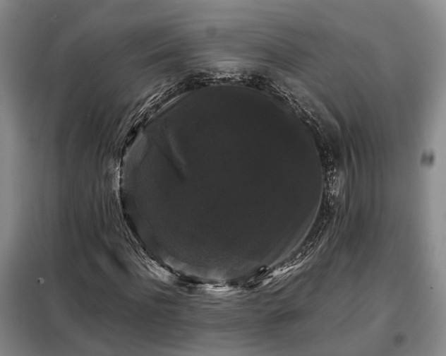 X0000099290916200805090926