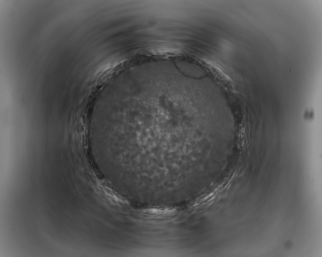 X0000099290917200805090926