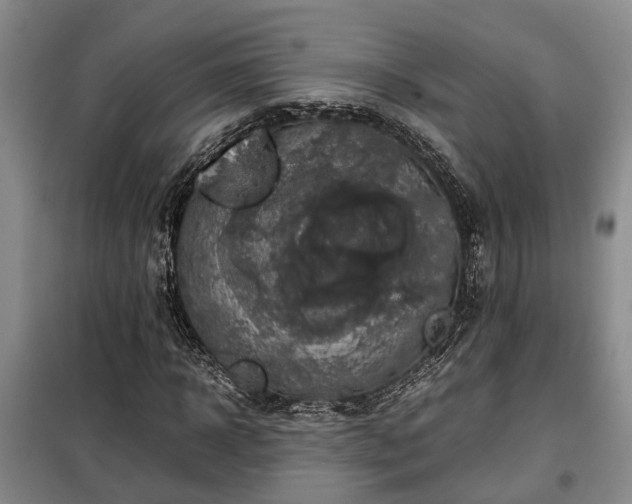X0000099290918200805090927