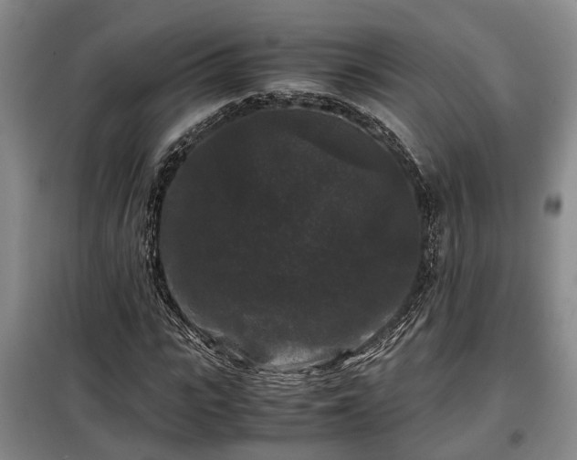 X0000099290919200805090927