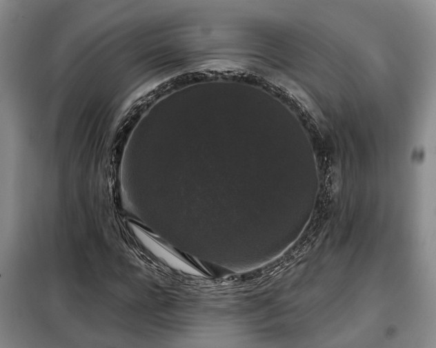 X0000099290920200805090927