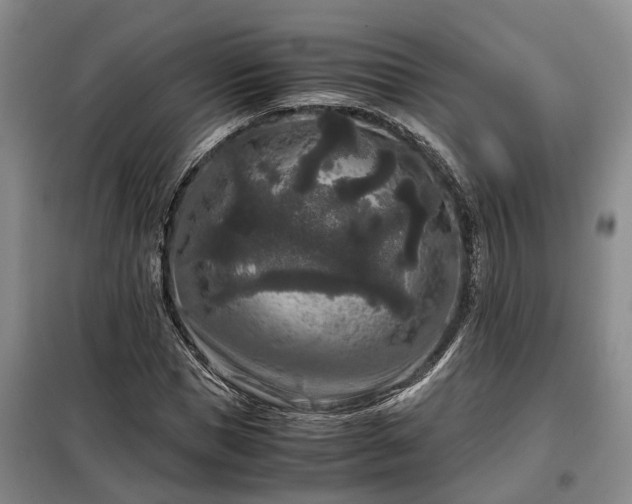 X0000099290921200805090927