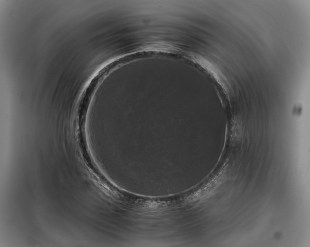 X0000099290923200805090927