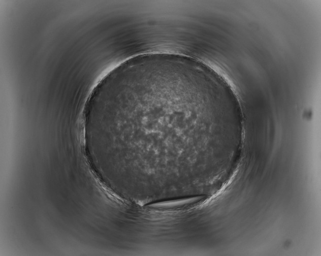 X0000099290925200805090927