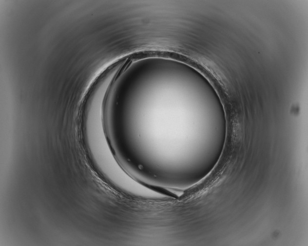 X0000099290926200805090927