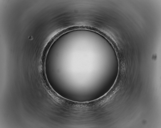 X0000099290927200805090927