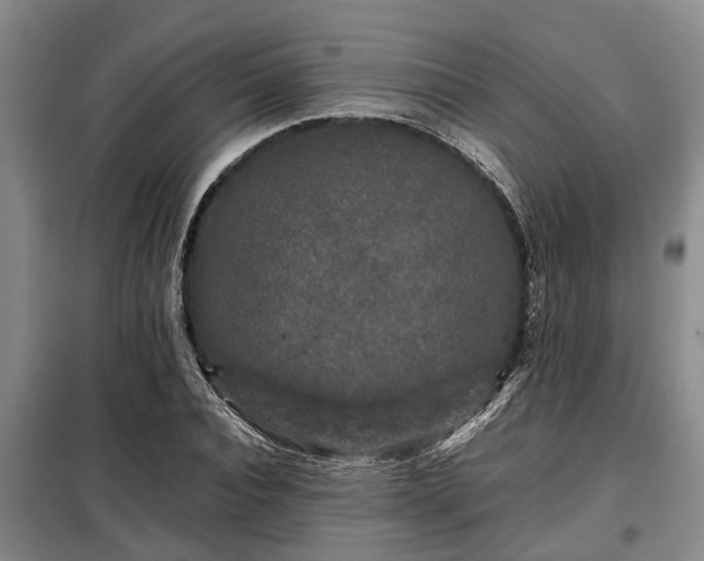 X0000099290928200805090927