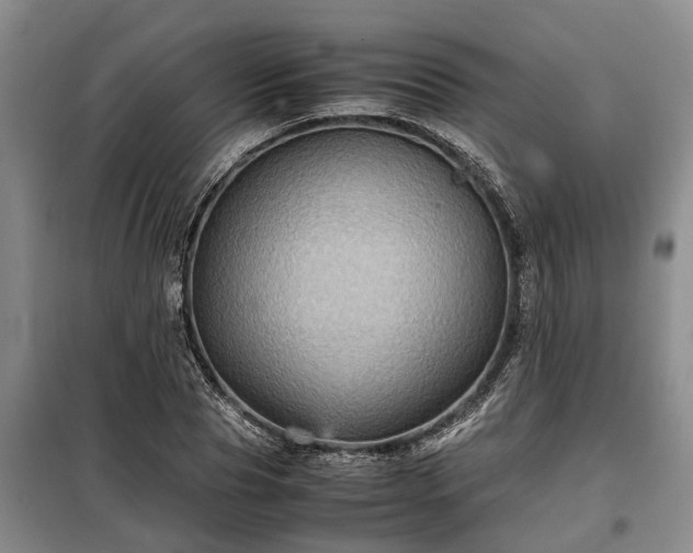 X0000099290929200805090927