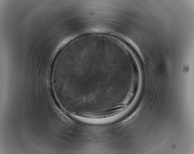 X0000099290930200805090927
