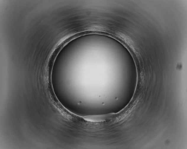 X0000099290931200805090927