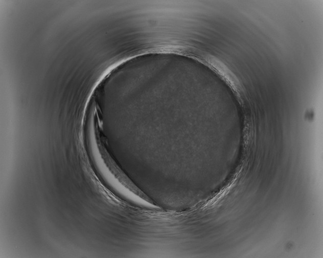X0000099290932200805090927