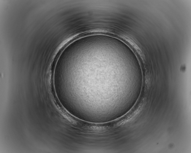 X0000099290933200805090927