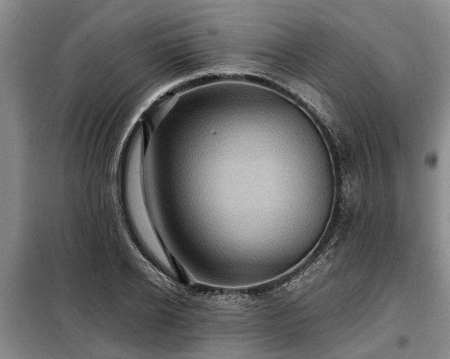 X0000099290934200805090927