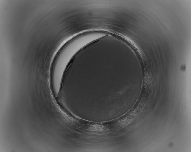 X0000099290935200805090927