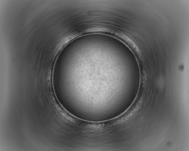 X0000099290937200805090927