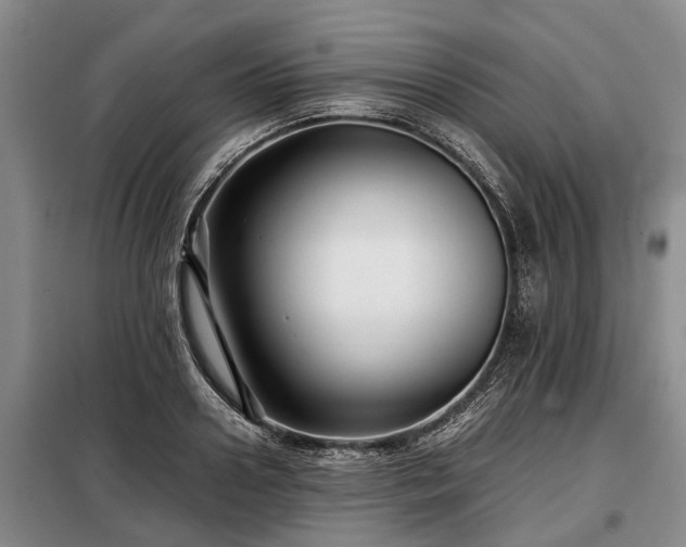 X0000099290938200805090927