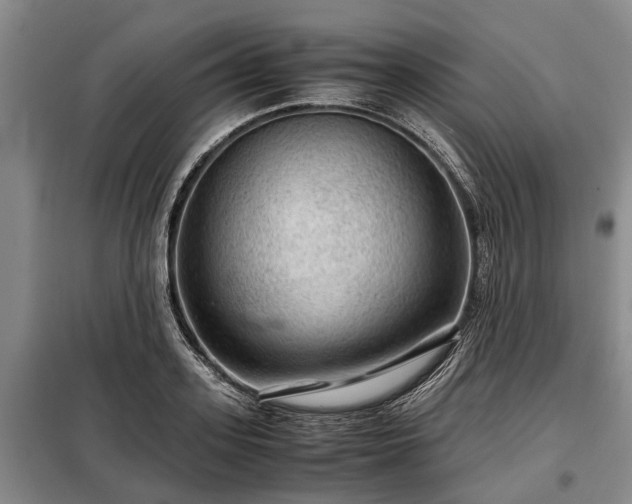 X0000099290939200805090927