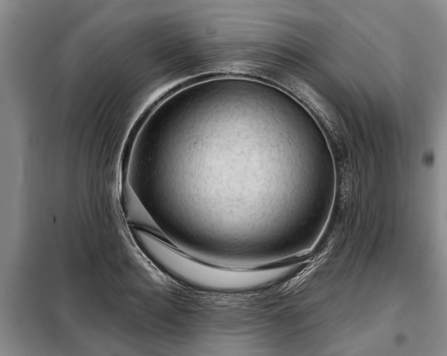 X0000099290940200805090927
