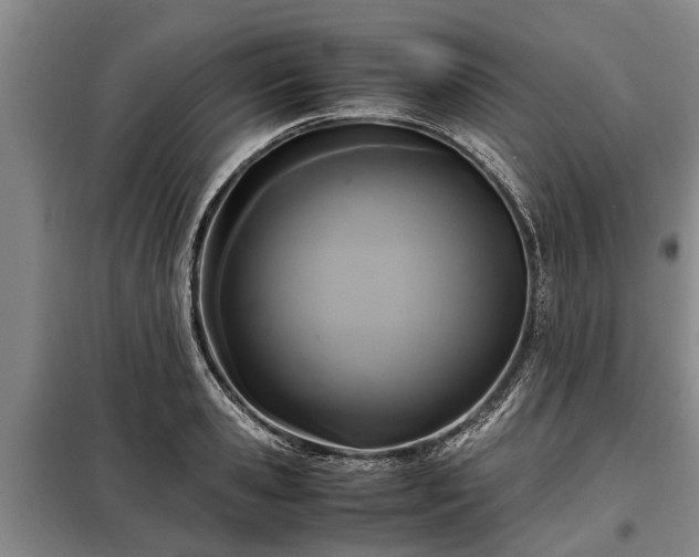 X0000099290941200805090927