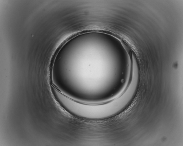 X0000099290942200805090927