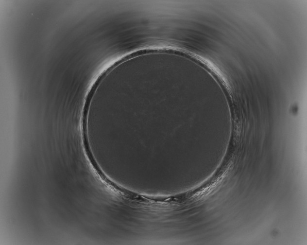 X0000099290943200805090927