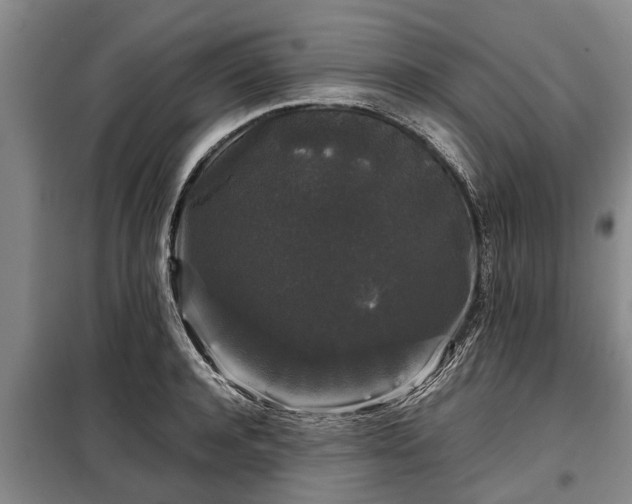 X0000099290944200805090927