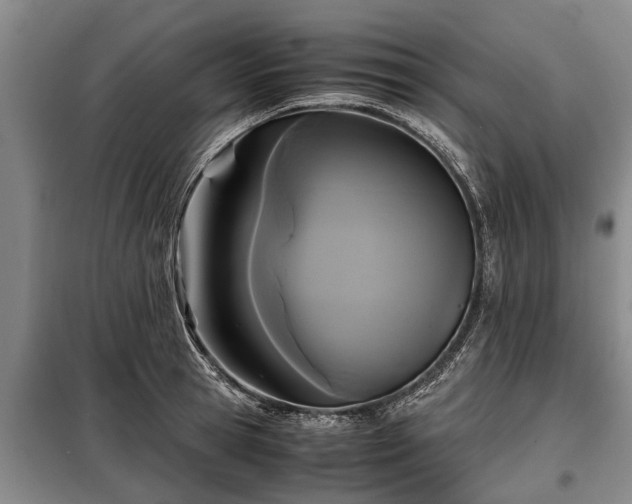 X0000099290945200805090927
