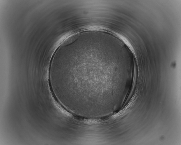 X0000099290946200805090927