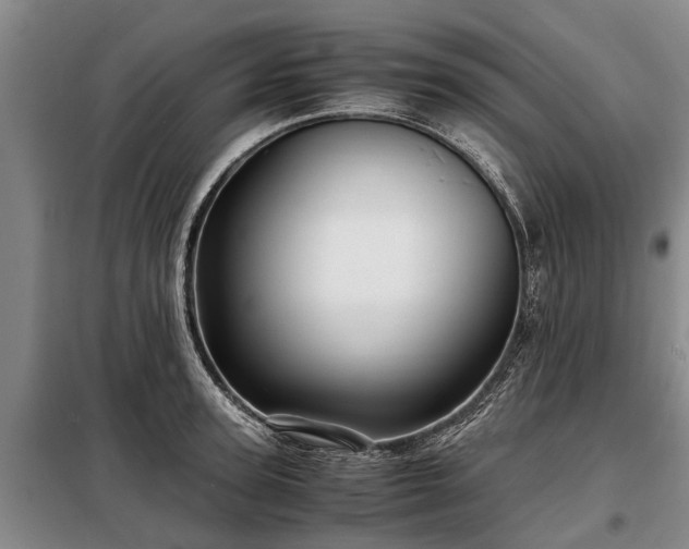 X0000099290947200805090927